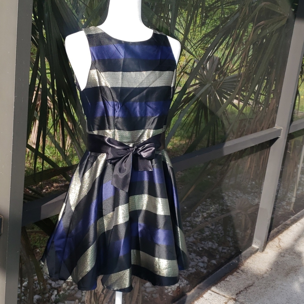Bailey Blue Metallic Striped A-Line Dress Size M